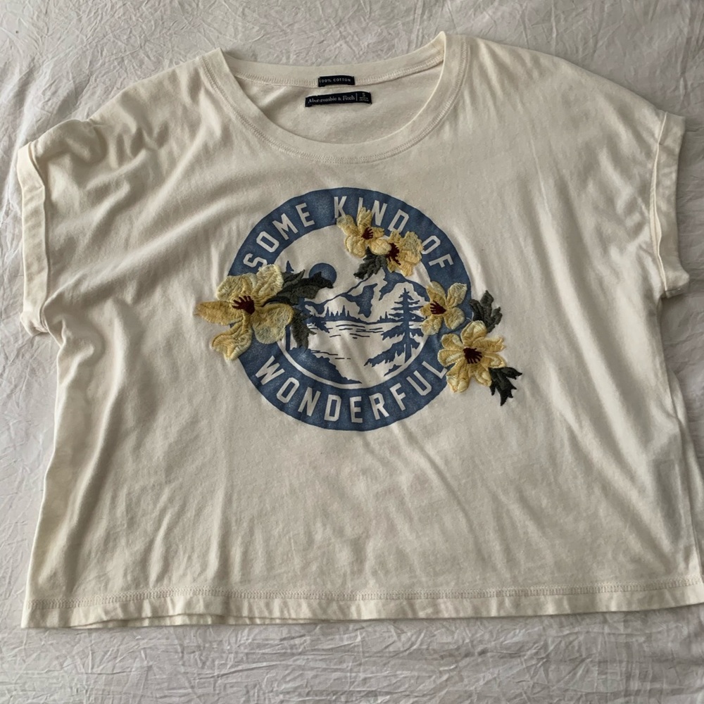 Abercrombie and Fitch Cropped Tee
